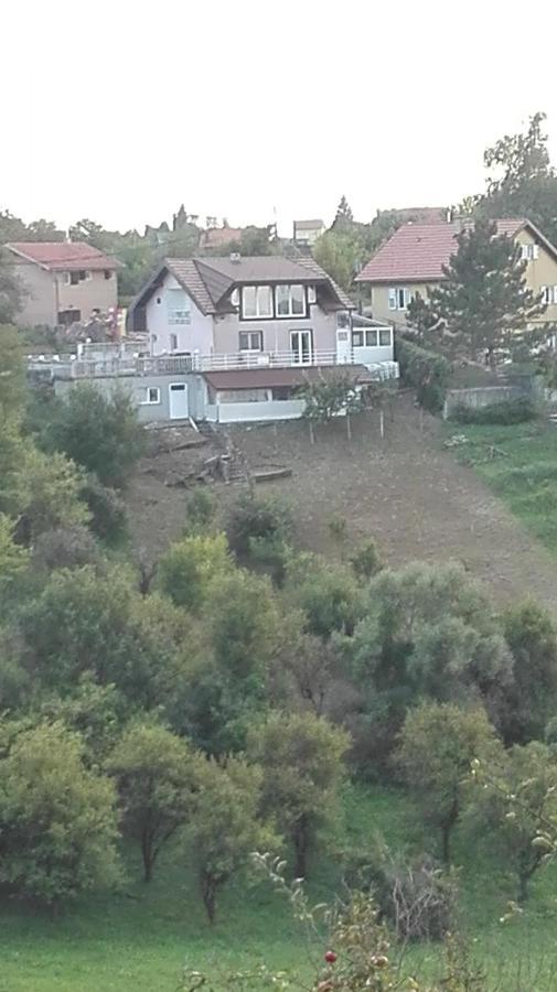 Panorama Apartman Molvice Kültér fotó
