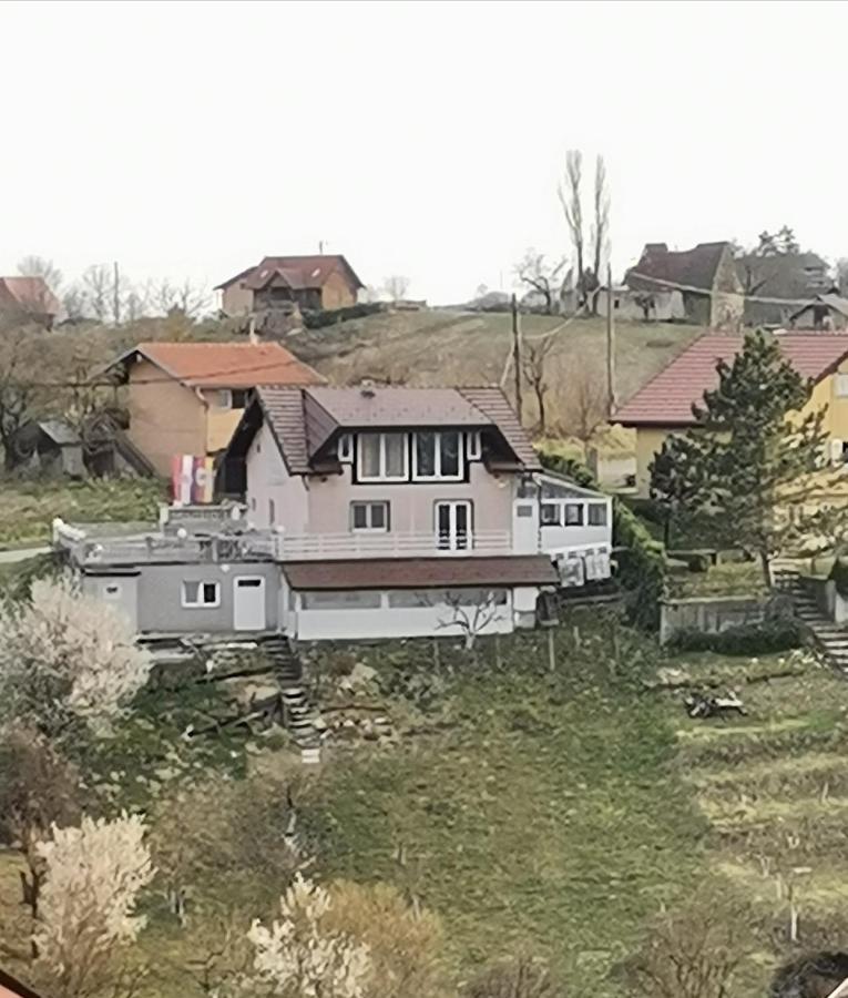 Panorama Apartman Molvice Kültér fotó